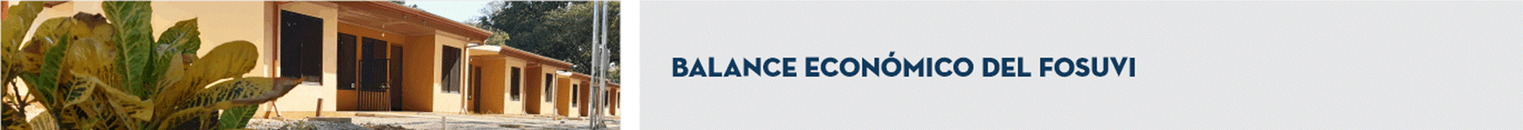 Título: Balance económico del FOSUVI